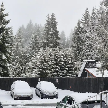 Ami Poiana Appartamento *