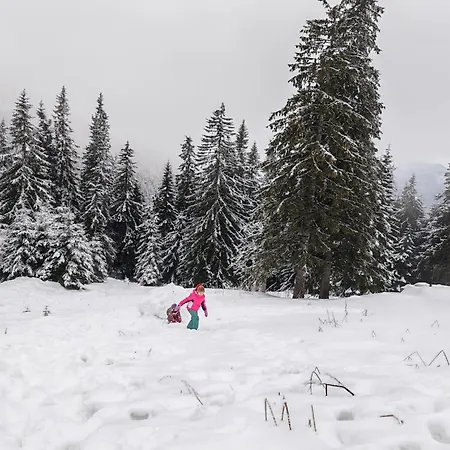 Appartamento Ami Poiana *