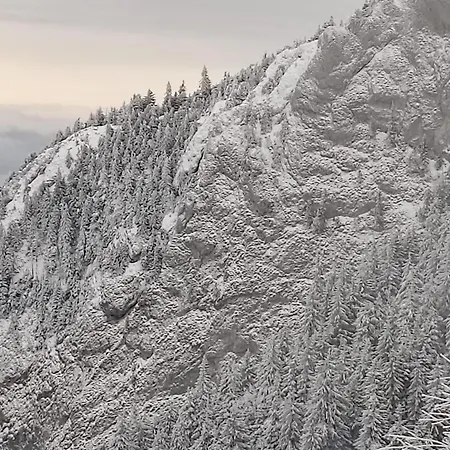 Appartamento Ami Poiana