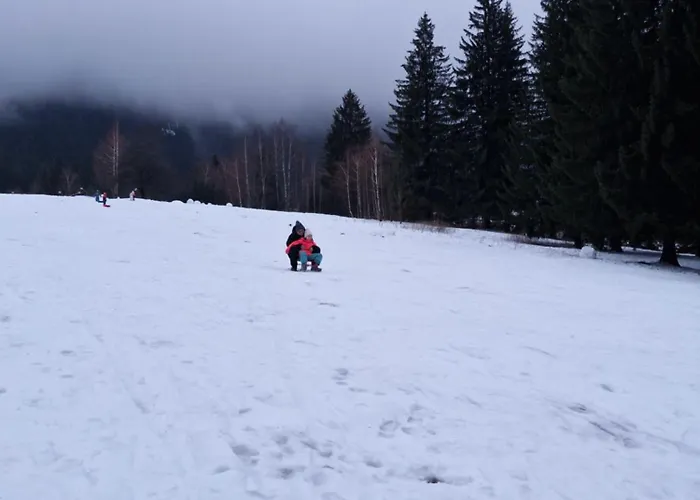 Appartamento Ami Poiana Braşov