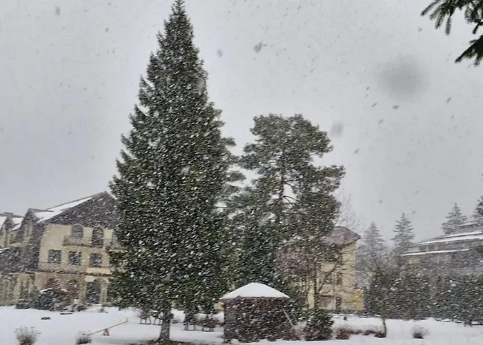 Appartamento Ami Poiana