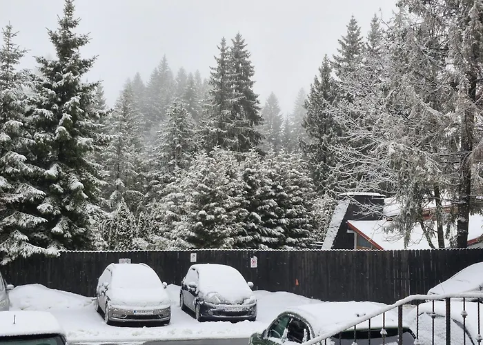 Ami Poiana Appartamento *