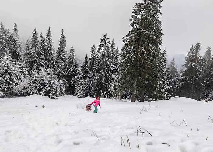 Appartamento Ami Poiana *