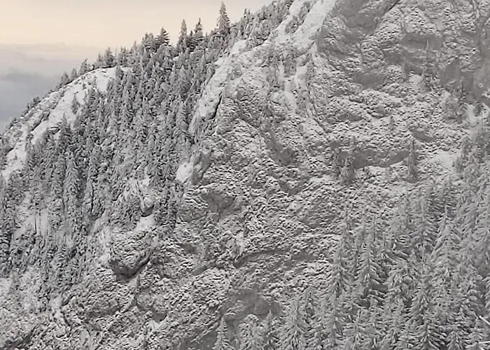 Appartamento Ami Poiana